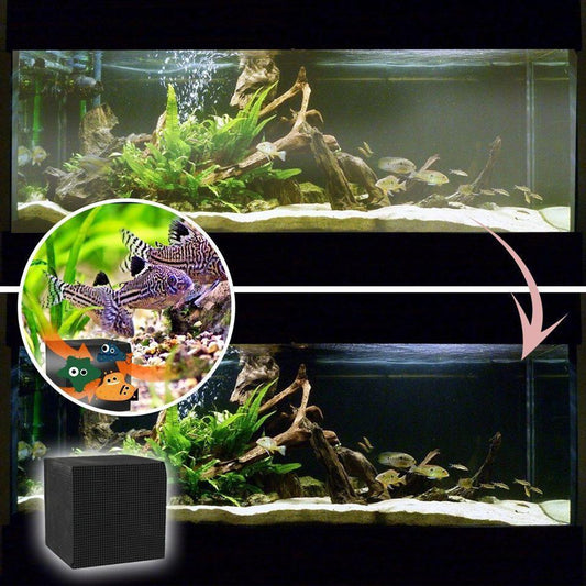 Skorter | Eco-Aquarium Water Cleaner Cube