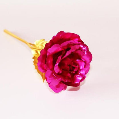 Skorter | 24K Gold Roses