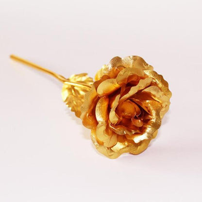 Skorter | 24K Gold Roses