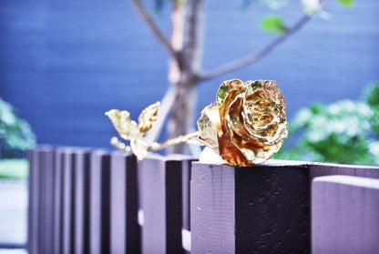 Skorter | 24K Gold Roses