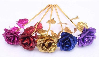 Skorter | 24K Gold Roses