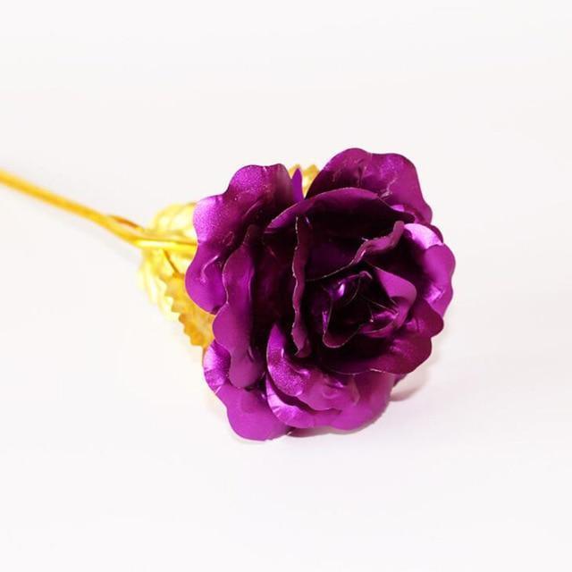 Skorter | 24K Gold Roses