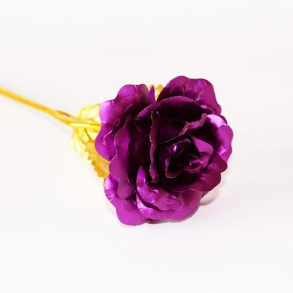 Skorter | 24K Gold Roses