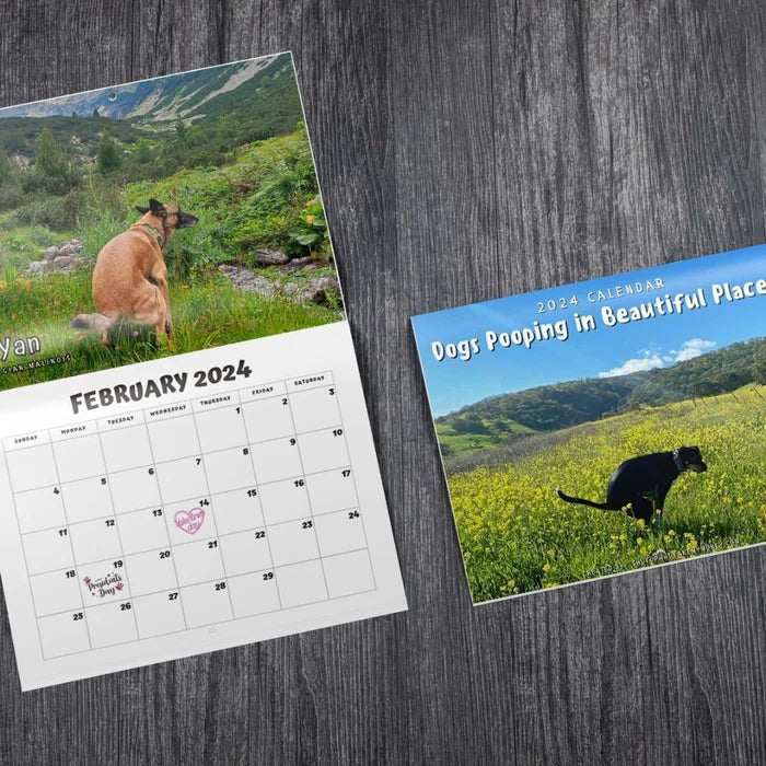 skorter | 2024 Funniest Calendar-Dogs Pooping In Beautiful Places | "Artistic Expression" Furry Friends