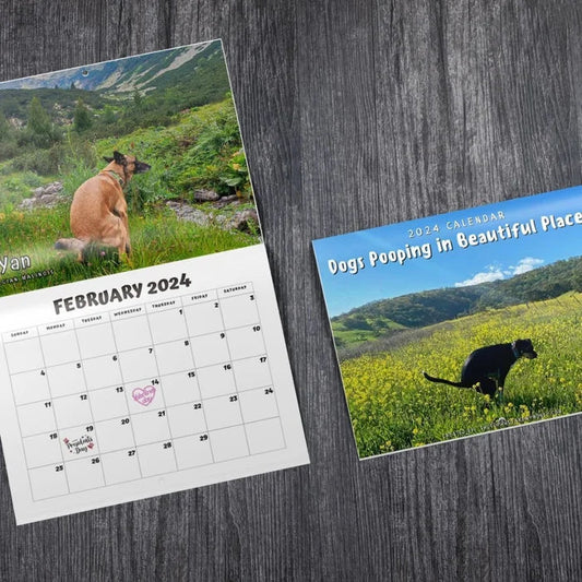 skorter | 2024 Funniest Calendar-Dogs Pooping In Beautiful Places | "Artistic Expression" Furry Friends
