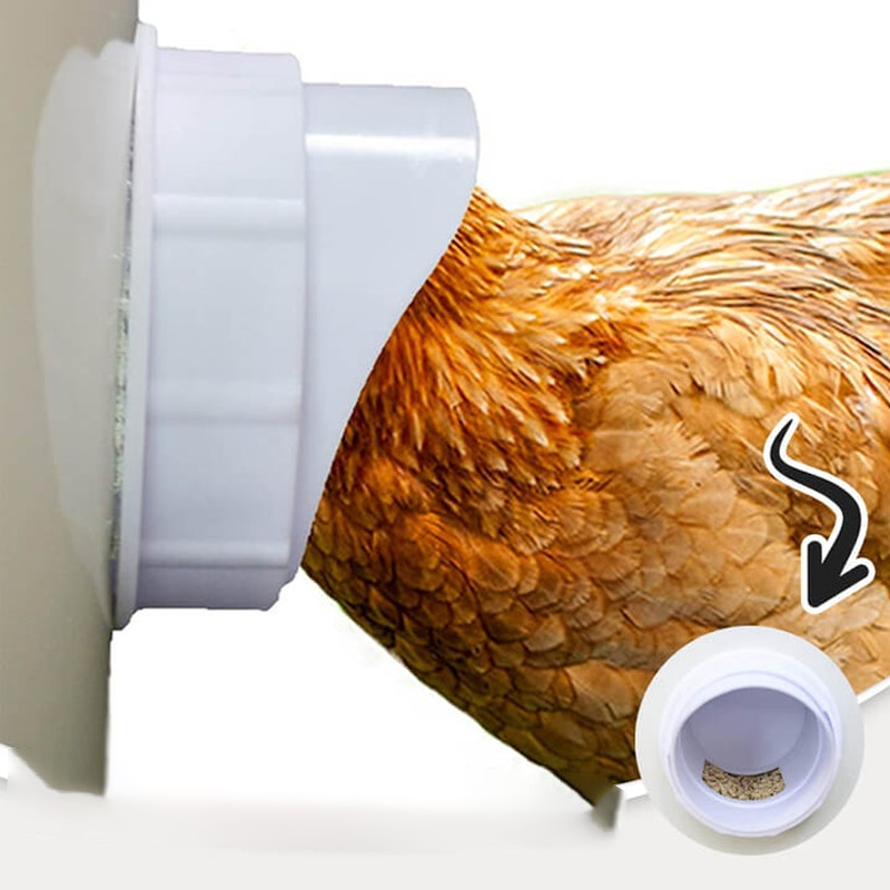 Skorter | DIY Chicken Feeder