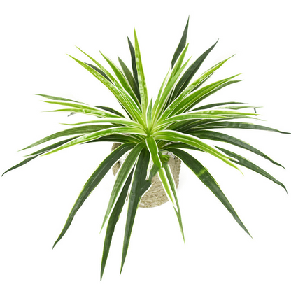 Skorter | Artificial Grass Plant – Decorative Plant for Home and Office