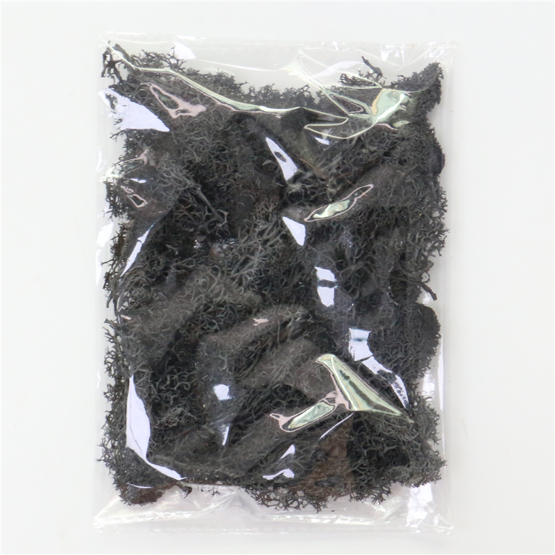 Skorter | Artificial Moss for Landscaping – Moss and Flowers for Decoration and Floristry