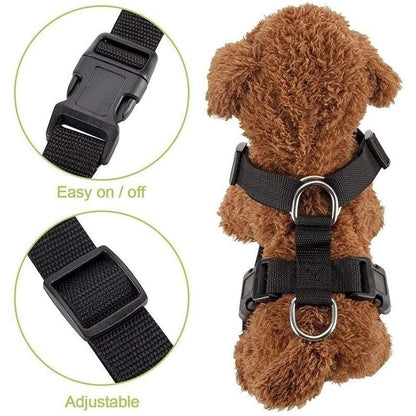 Skorter | Dog Safety Harness Set