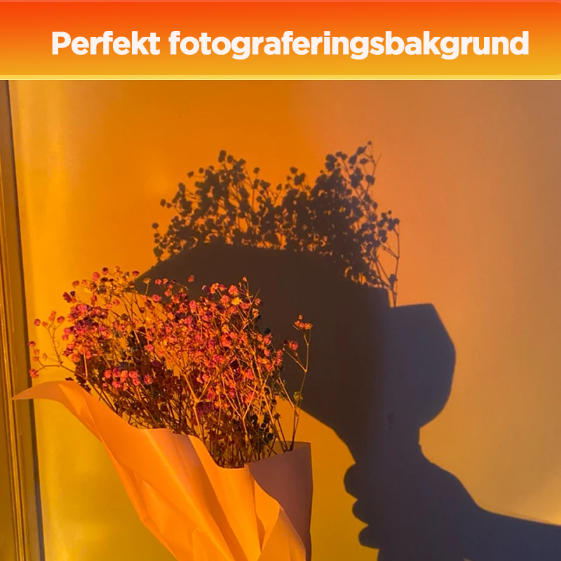 Skorter | Projection Floor Lamp