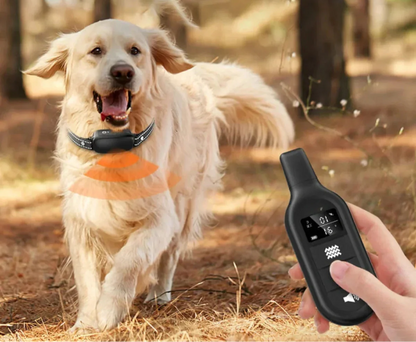 Skorter | Dog Coach Pro Training Collar – Waterproof Electronic Collar with Remote Control