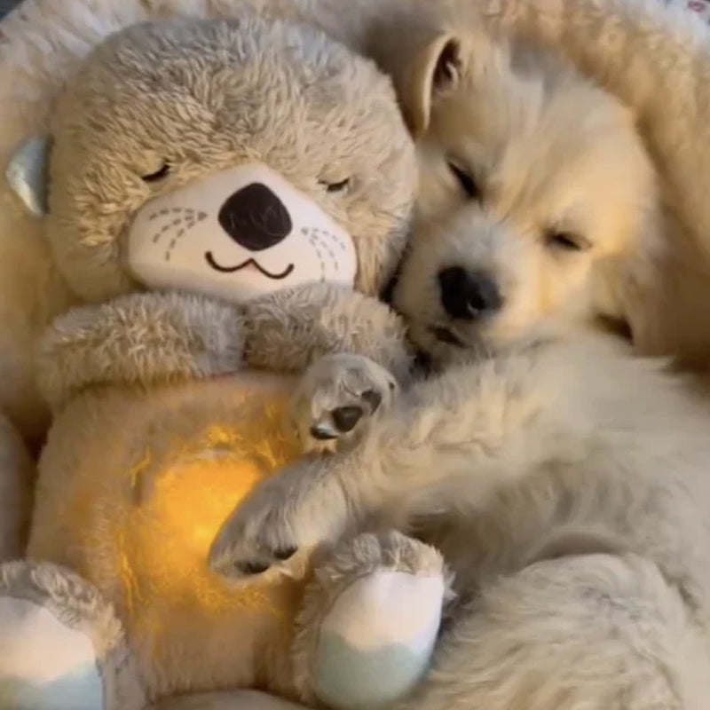 Skorter | Calming Otter Plush