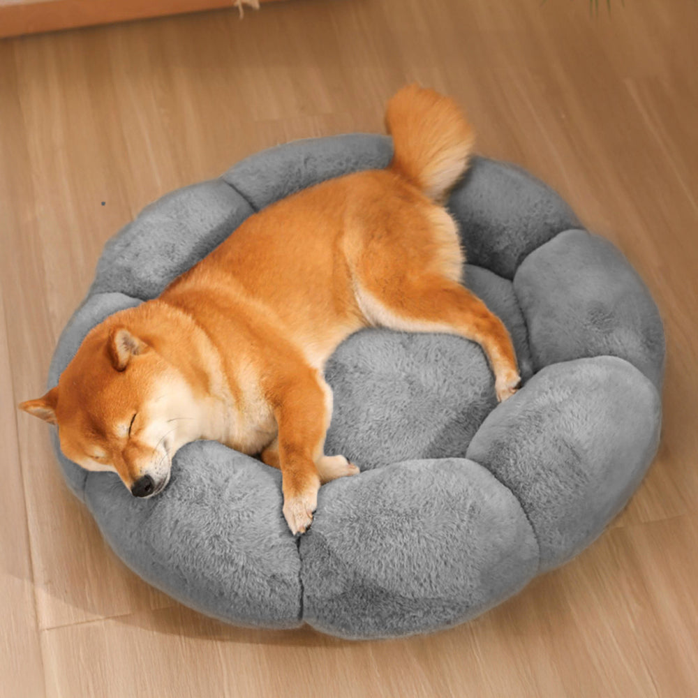 Skorter | Flower Heat Full Support Washable Decoration Dog & Cat Bed