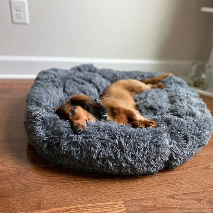 Skorter | Calming Dog Bed