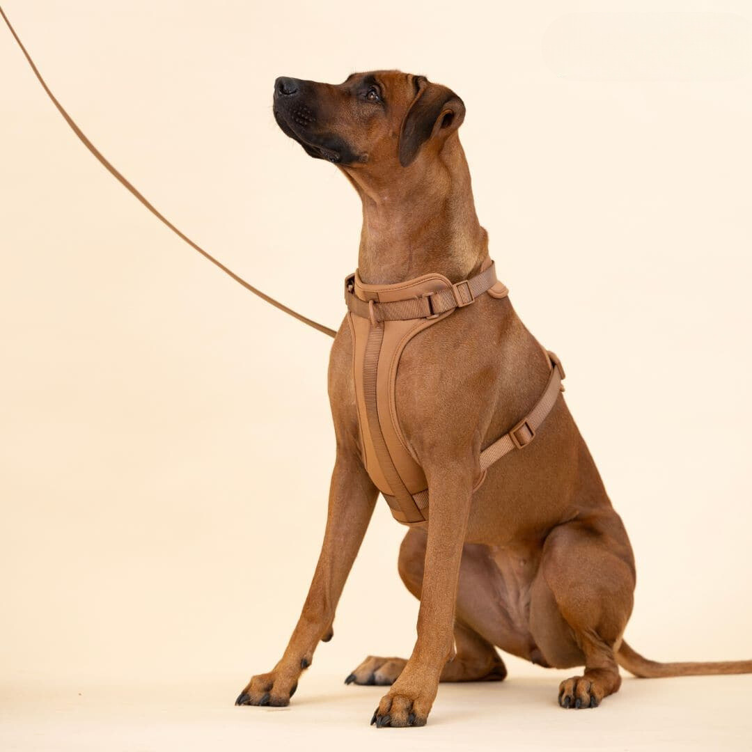 Skorter | ComfyPaws Dog Harness Walking Set with Leash and Poop Bag Holder