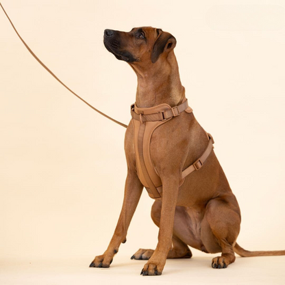 Skorter | ComfyPaws Dog Harness Walking Set with Leash and Poop Bag Holder