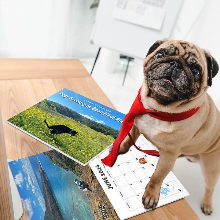 skorter | 2024 Funniest Calendar-Dogs Pooping In Beautiful Places | "Artistic Expression" Furry Friends