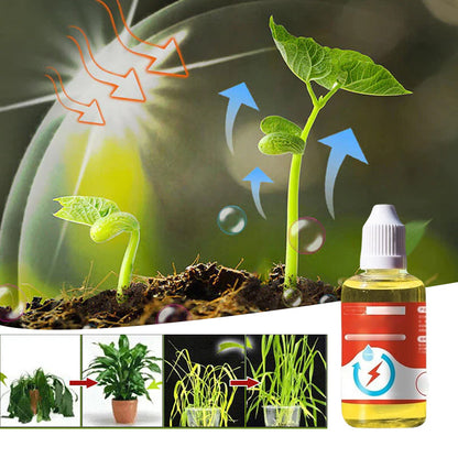 Skorter | Plant Growth Enhancer Supplement