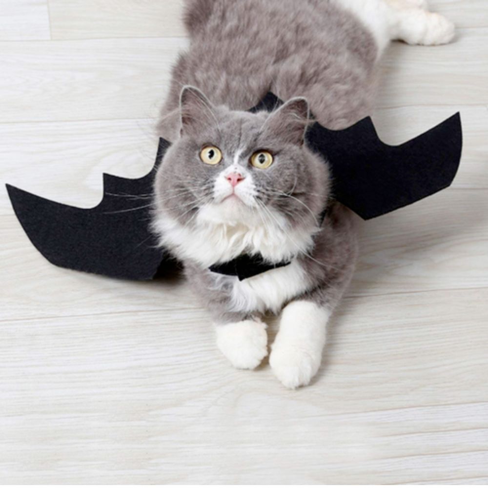 Skorter | Pet Bat Wings Costume Cat and Dogs