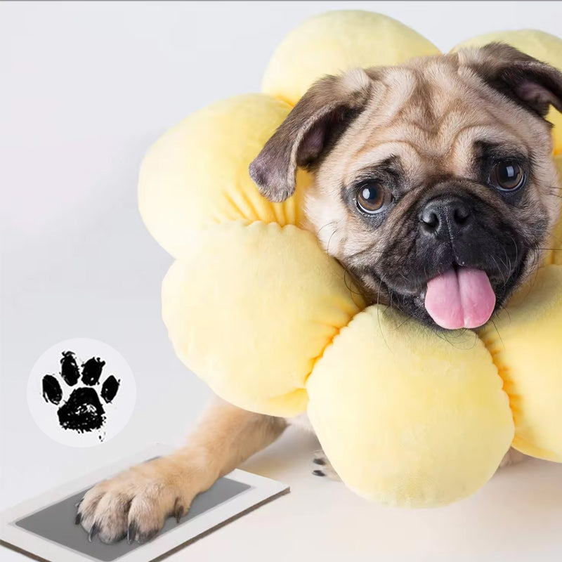 Skorter | Animal Paw Print Set