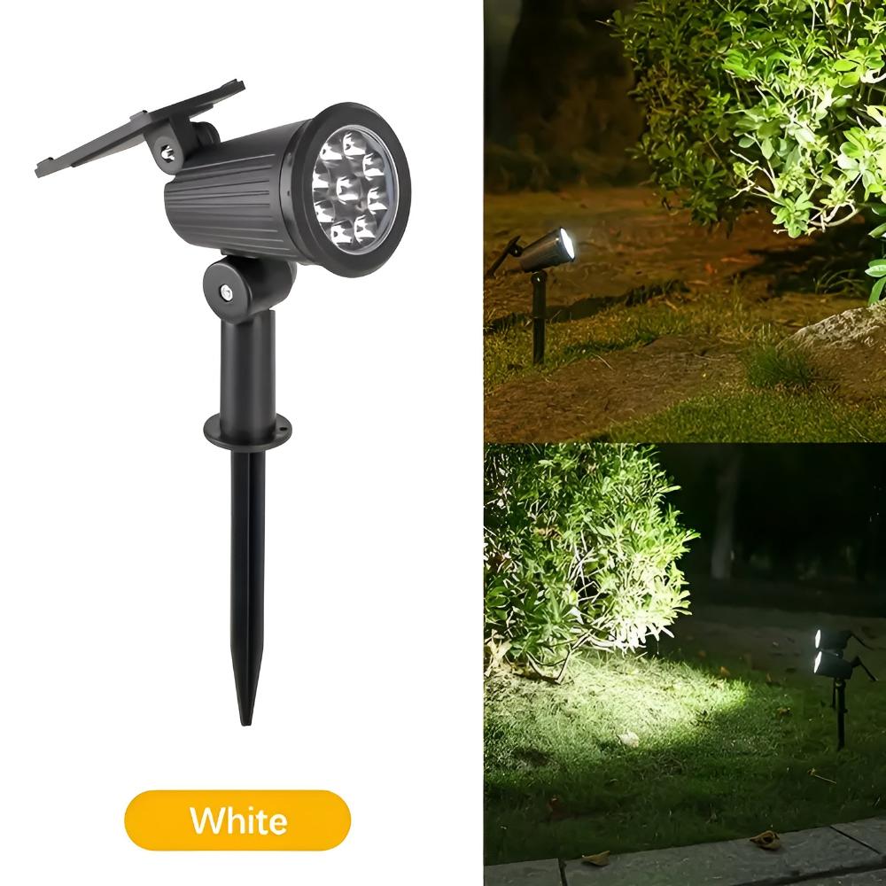 Skorter | Power Glow Solar Light