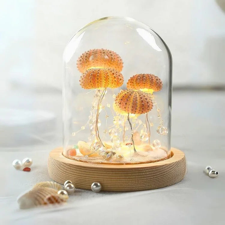 Skorter | LumiCraft – Unique DIY table lamp with natural sea shell for a cozy décor