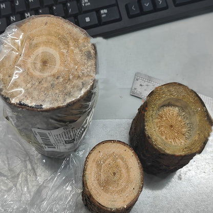 Skorter | 3-piece Set in Wood Candle Holders - 2.5 + 4.2 + 7cm