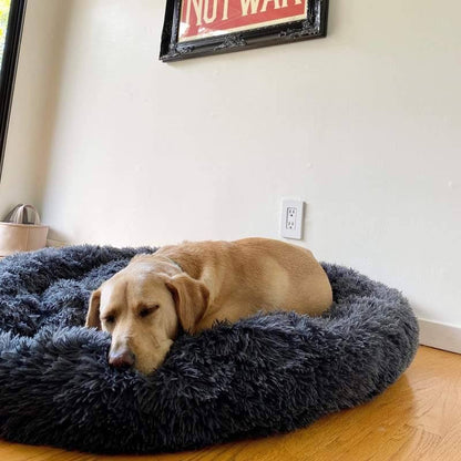Skorter | Calming Dog Bed