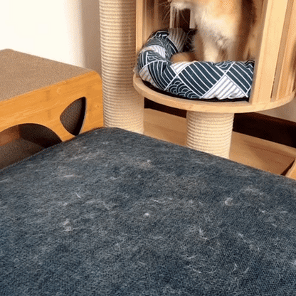 Skorter | 3-in-1 Pet Hair Remover - PetClean Pro