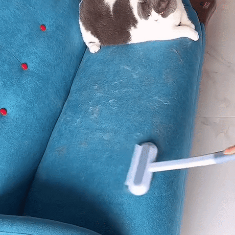 Skorter | 3-in-1 Pet Hair Remover - PetClean Pro