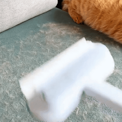 Skorter | 3-in-1 Pet Hair Remover - PetClean Pro