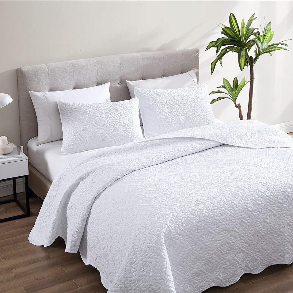 Skorter | 3-piece: Ivy Bedspread Quilt Set