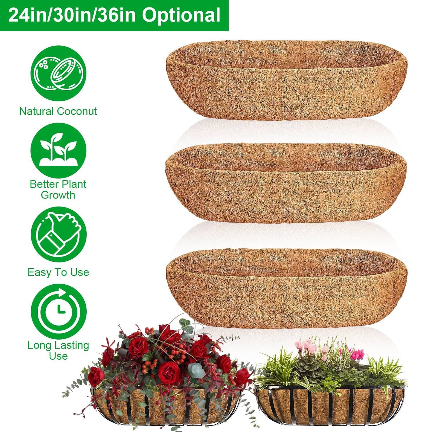Skorter | 3-pieces: Through Coco Basket Half Moon Plant Replacement