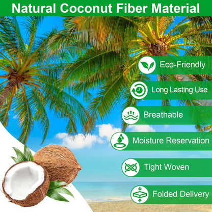 Skorter | 3-pieces: Through Coco Basket Half Moon Plant Replacement