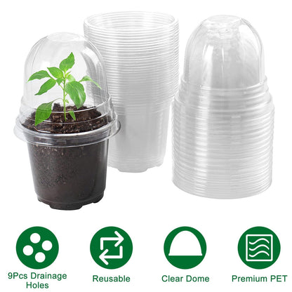 Skorter | 30 pieces: Plant nursery pots PET Flower seed starter pots Container with dome and drainage hole