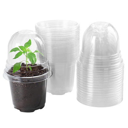 Skorter | 30 pieces: Plant nursery pots PET Flower seed starter pots Container with dome and drainage hole