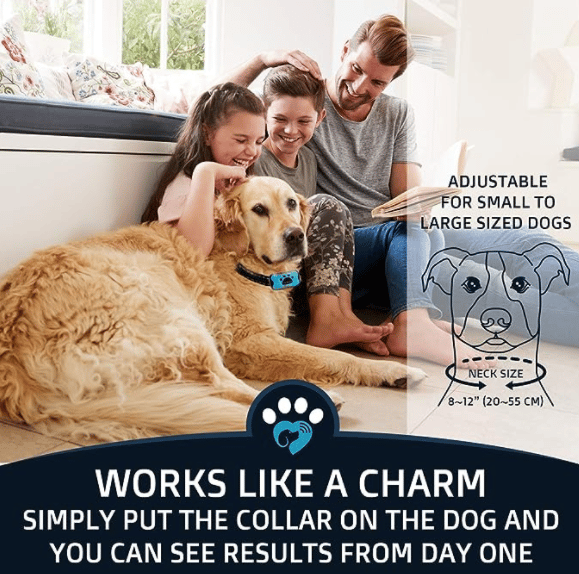 Skorter | Anti-Bark Collar