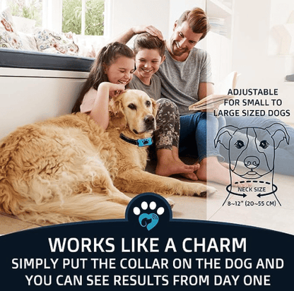 Skorter | Anti-Bark Collar