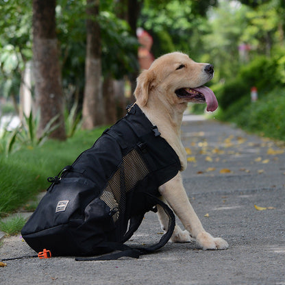 Skorter | Dog Backpack – Comfortable Carrying Bag for Medium Dogs with Safety Strap and Storage Pockets