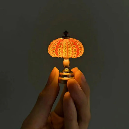 Skorter | LumiCraft – Unique DIY table lamp with natural sea shell for a cozy décor