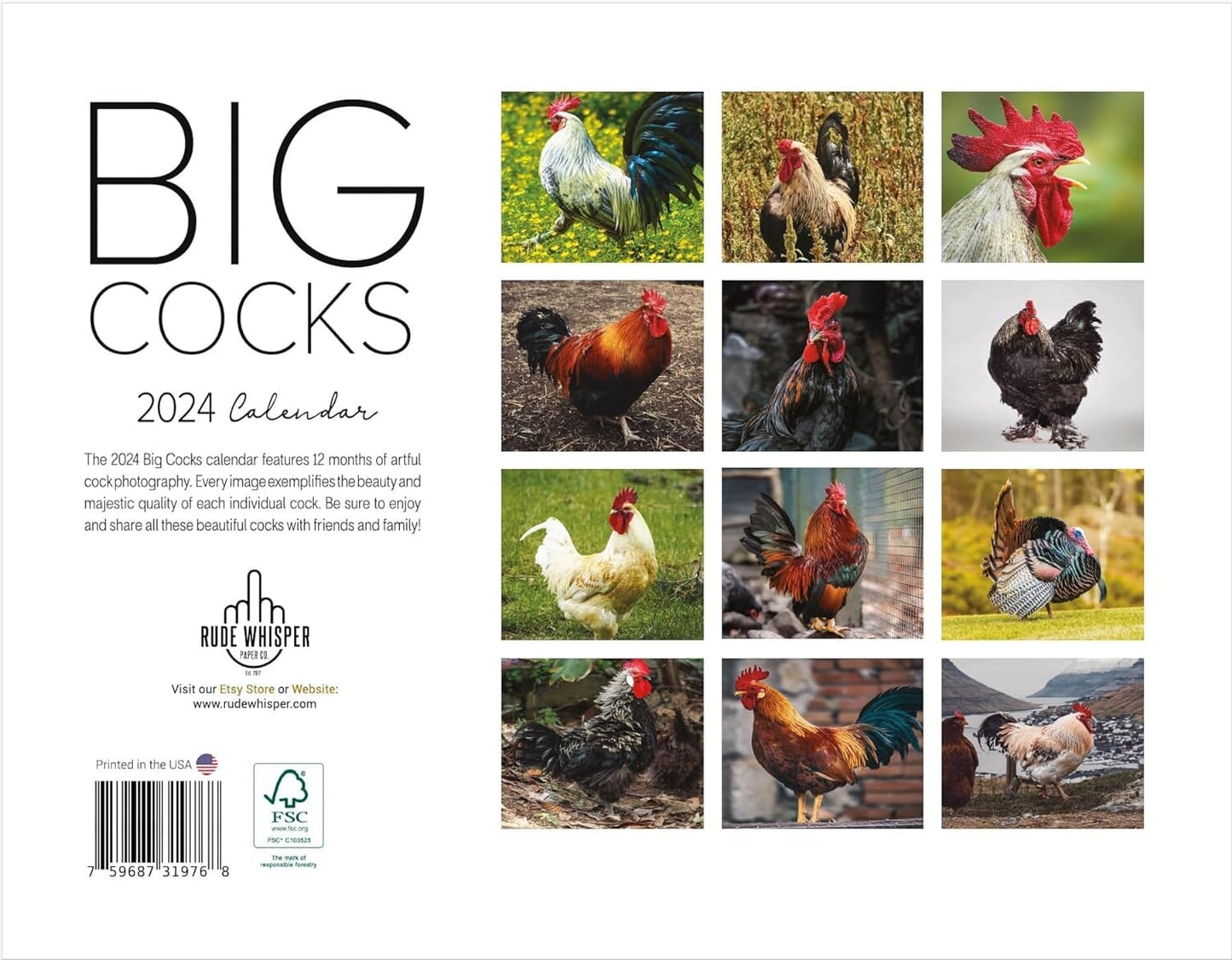 skorter | Big Cocks 2024 Wall Calendar - An Elegant Collection of Rooster Photos