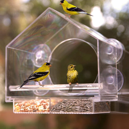Skorter | Bird feeder in the window for outdoor use