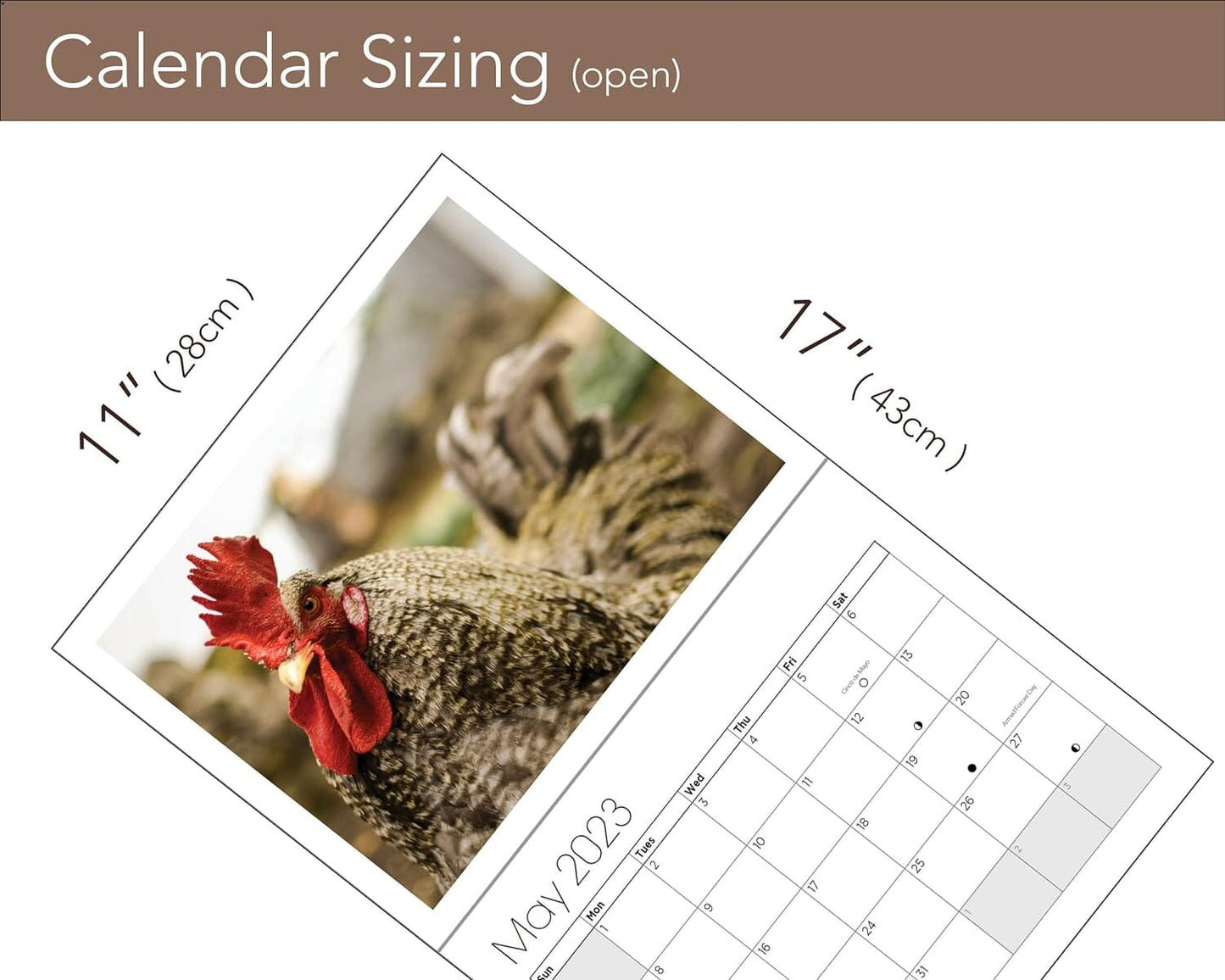 skorter | Big Cocks 2024 Wall Calendar - An Elegant Collection of Rooster Photos