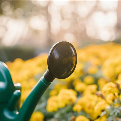Skorter | Watering can with large capacity and long spout for precise watering and plant care