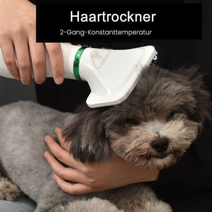 Skorter | Dog dryer