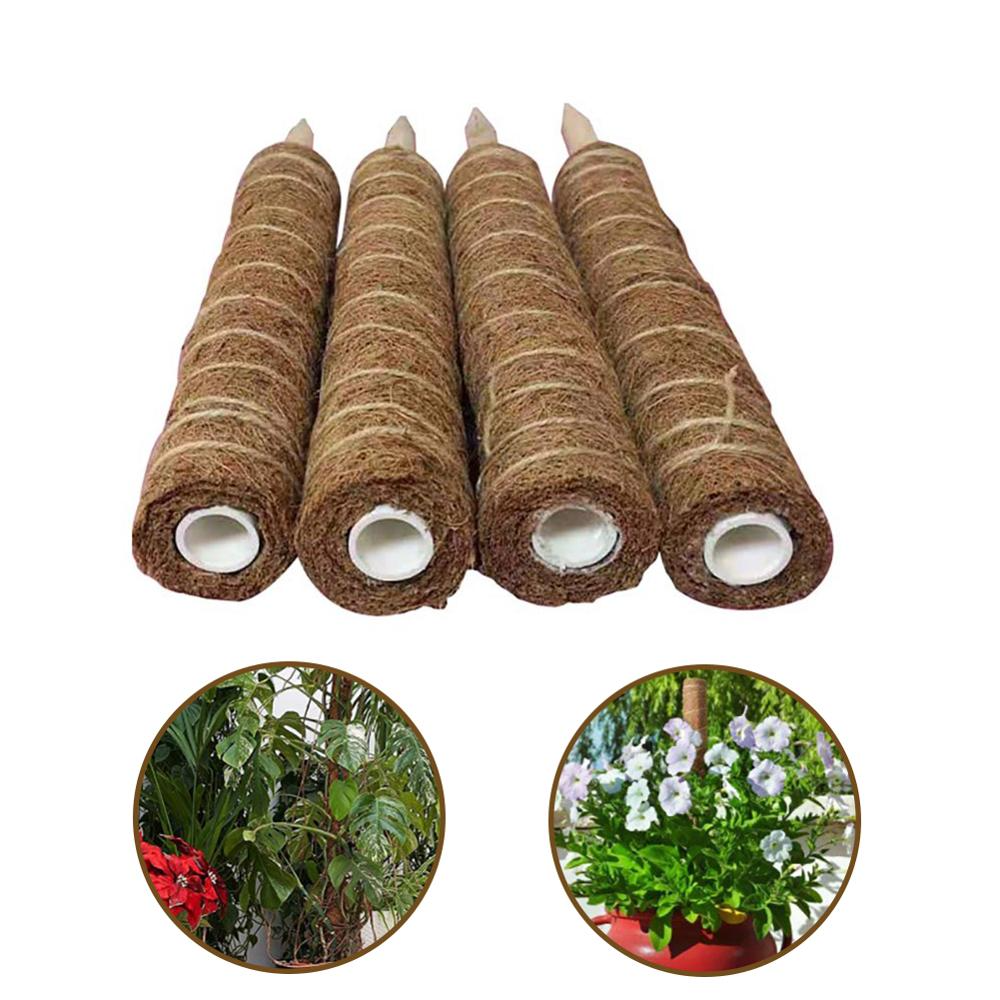 Skorter | Coconut moss stick for climbing plants – Natural climbing aid for houseplants and garden