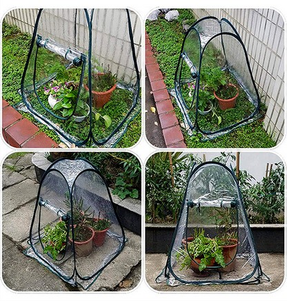 Skorter | Compact Plant Protection Tent for Garden Plants – Transparent Greenhouse