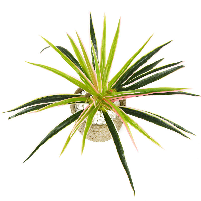 Skorter | Artificial Grass Plant – Decorative Plant for Home and Office