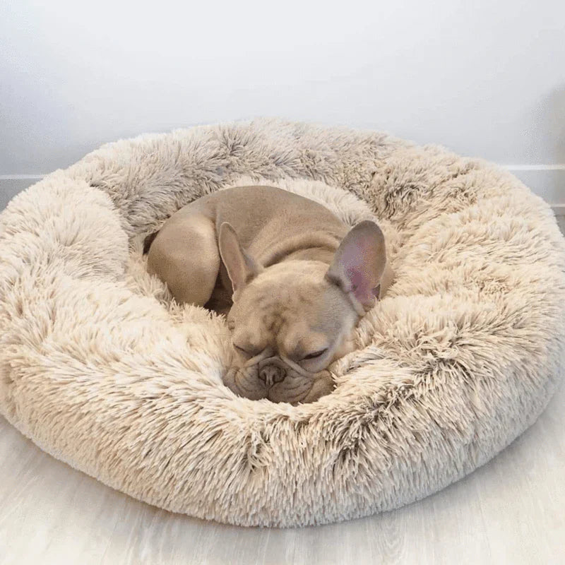 Skorter | Calming Dog Bed