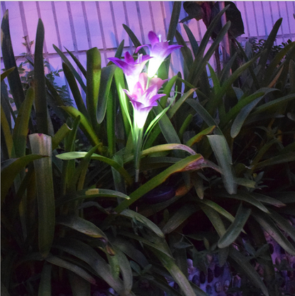 Skorter | Solar LED flower lights in lily shape – Color-changing garden lights with stake for outdoor areas
